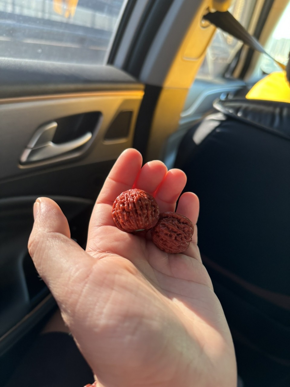 小鼻嘎