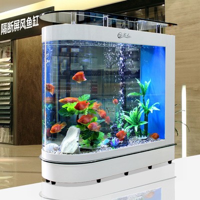 金底過背金龍魚圖片欣賞圖大全（金底過背金龍魚圖片欣賞圖大全集）
