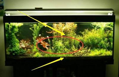 魚缸加氧泵正確使用方法視頻