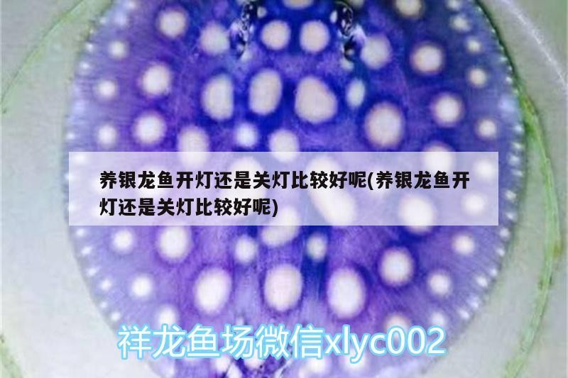 養銀龍魚開燈還是關燈比較好呢(養銀龍魚開燈還是關燈比較好呢)