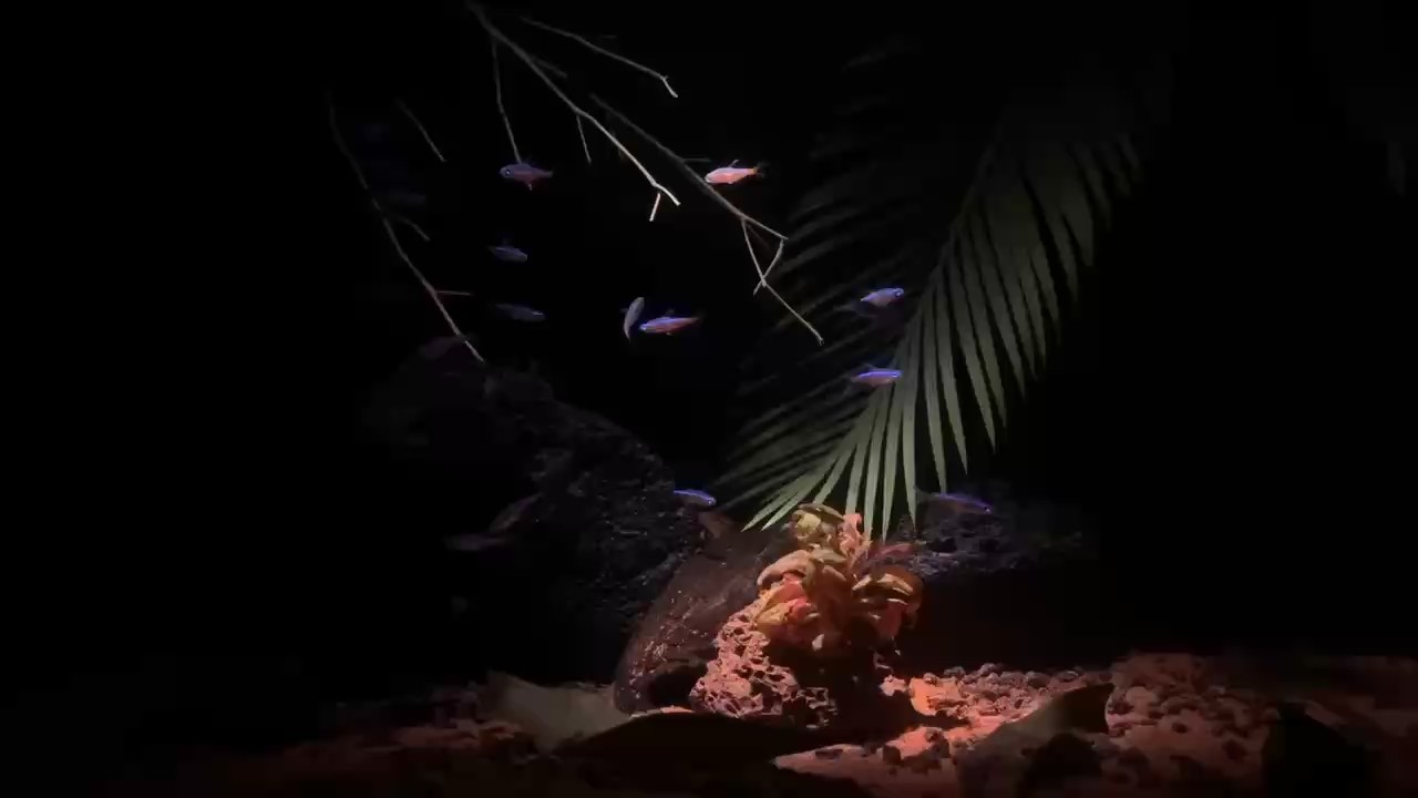治愈