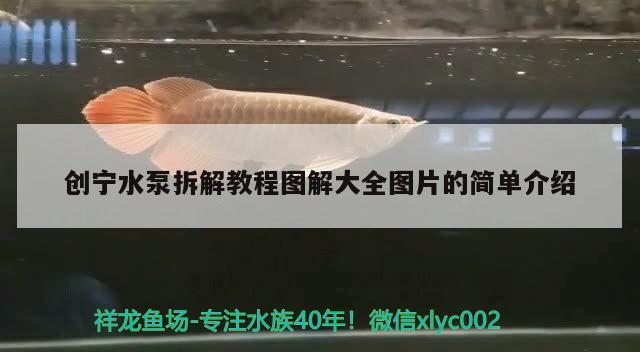 創寧水泵拆解教程圖解大全圖片的簡單介紹