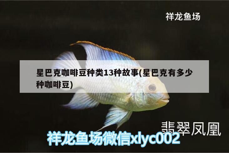星巴克咖啡豆種類13種故事(星巴克有多少種咖啡豆)