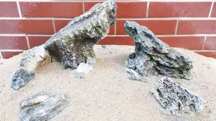 大同二手魚缸轉(zhuǎn)讓信息網(wǎng)