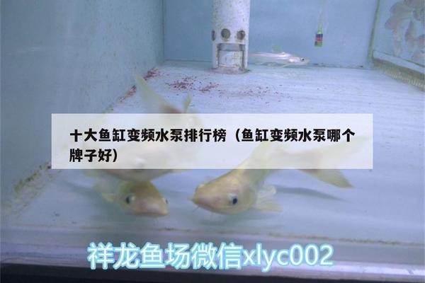 創寧水泵為什么貴一點（創寧水泵為什么貴一點呢）