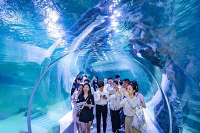 自貢水族館vs祥龍魚場（自貢水族館和祥龍魚場各有特色）