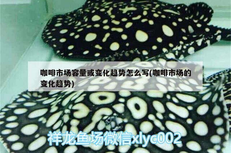 咖啡市場容量或變化趨勢怎么寫(咖啡市場的變化趨勢)