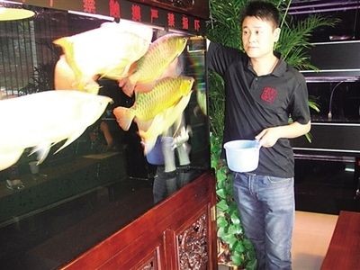 包頭龍魚vs祥龍魚場(包頭龍魚與祥龍魚場哪個好) 全國水族館企業名錄 第2張 包頭龍魚vs祥龍魚場(包頭龍魚與祥龍魚場哪個好) 包頭龍魚vs祥龍魚場(包頭龍魚與祥龍魚場哪個好) 全國水族館企業名錄 第2張