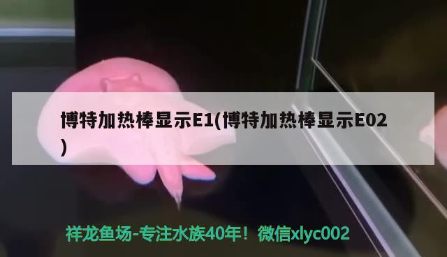 博特加熱棒顯示E1(博特加熱棒顯示E02)