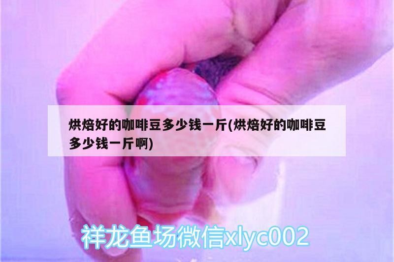 烘焙好的咖啡豆多少錢一斤(烘焙好的咖啡豆多少錢一斤啊)