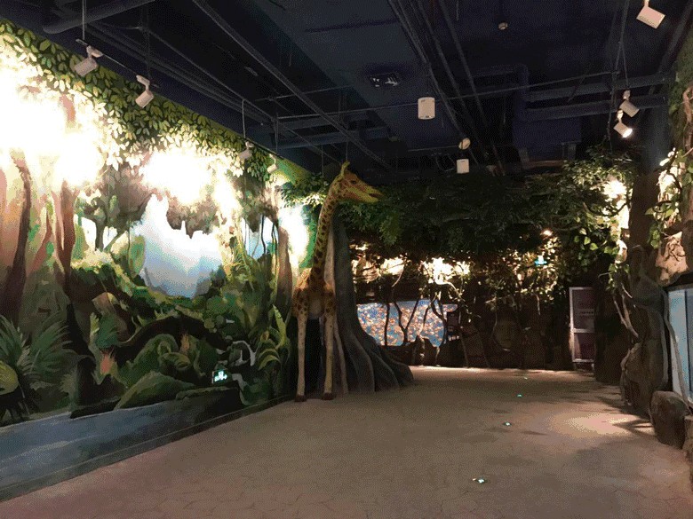 紹興水族館vs祥龍魚場（紹興水族館與祥龍魚場各有側重）