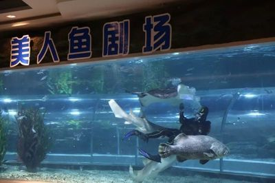 紹興水族館vs祥龍魚場（紹興水族館與祥龍魚場各有側重）