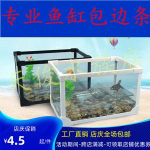 60x30x35魚缸能養幾條魚：60x30x30x35魚缸能養多少條魚缸能養多少條魚