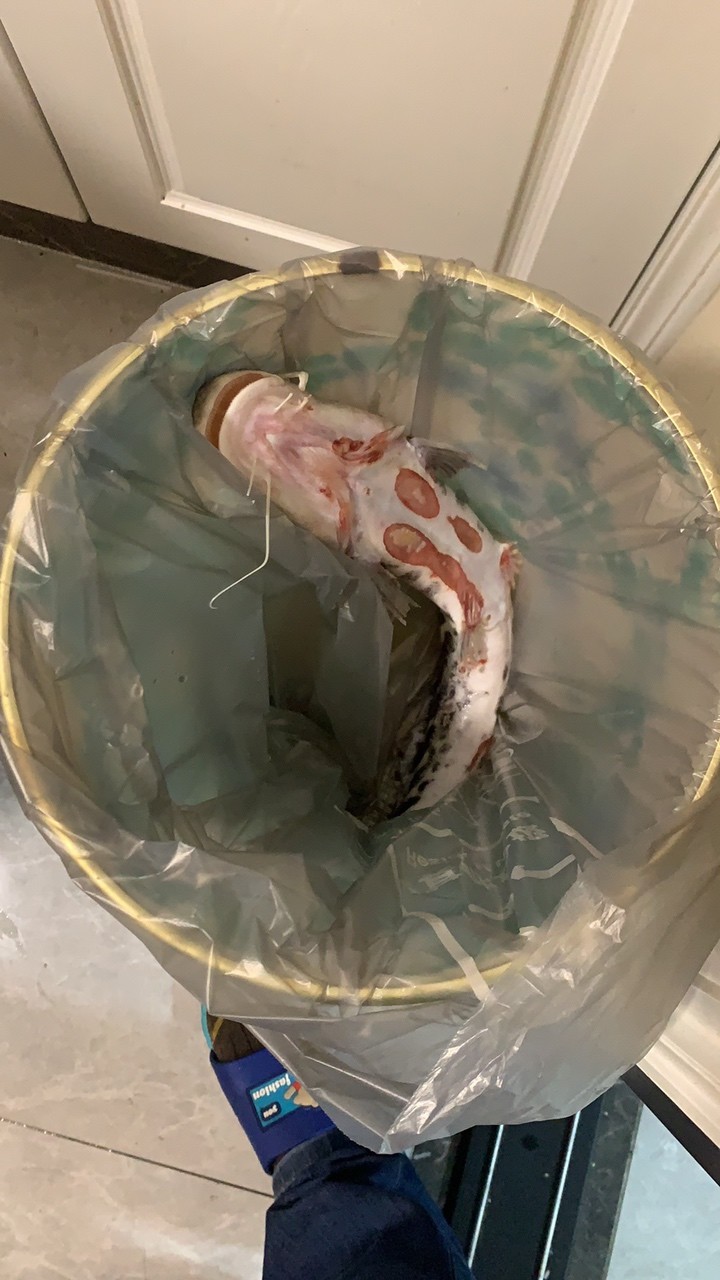 魂歸故里！