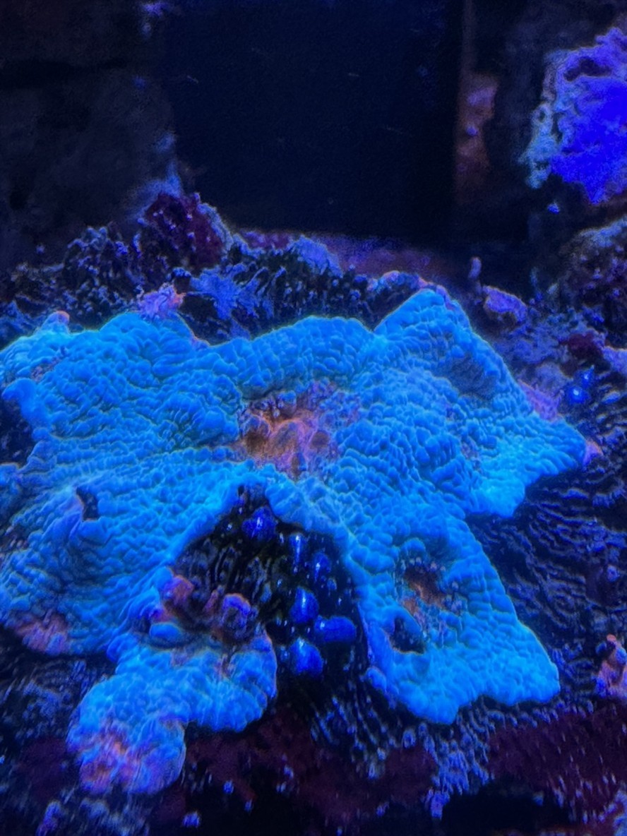 這是什么東西啊！