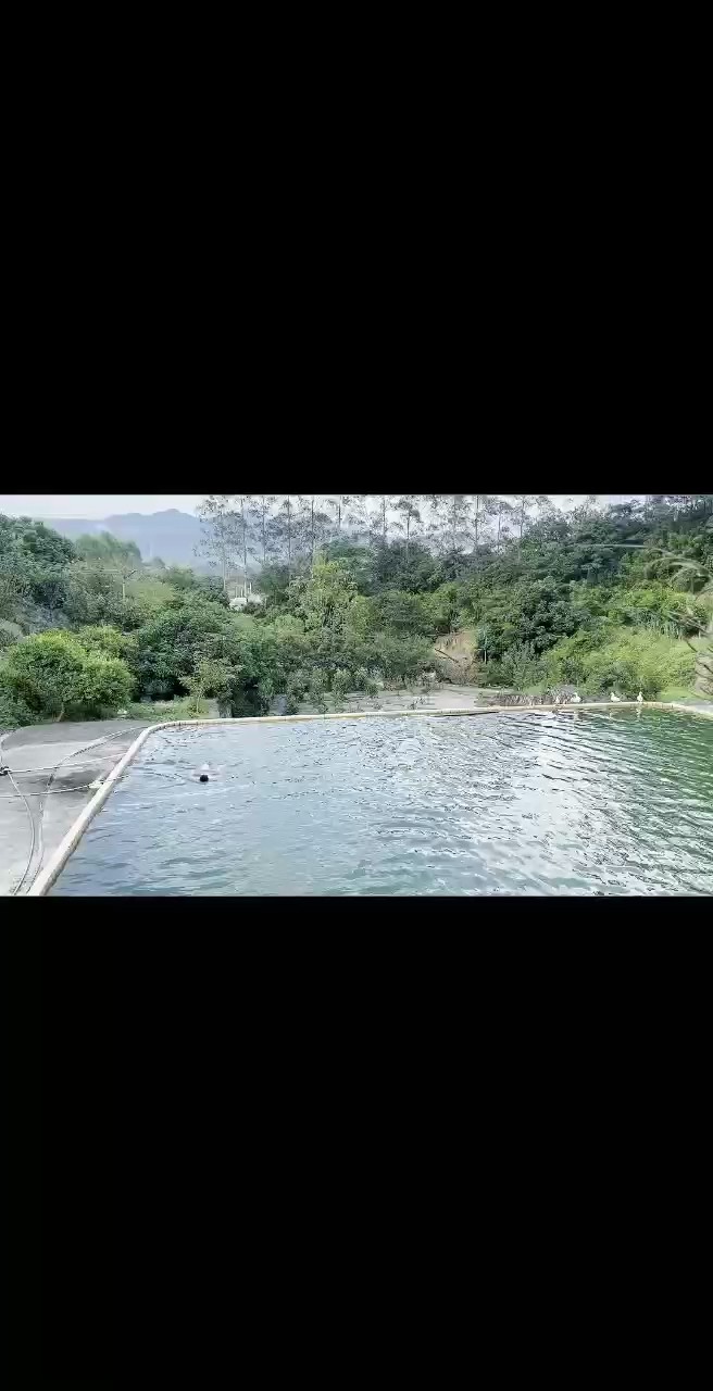 魚為靈 水為財 風生水起福自來