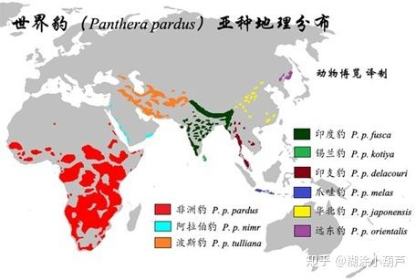 印度老虎分布圖：關于印度老虎分布圖