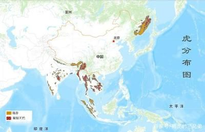 印度老虎分布圖：關于印度老虎分布圖