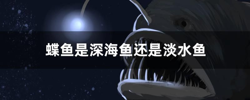 蝶魚是深海魚還是淡水魚