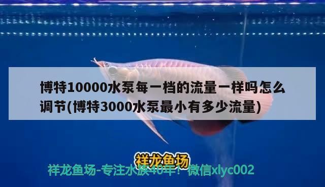 博特10000水泵每一檔的流量一樣嗎怎么調節(博特3000水泵最小有多少流量)