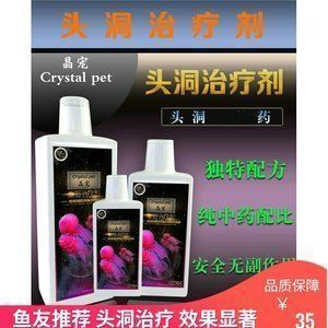 龍魚傷口潰爛怎么辦vs祥龍魚場:龍魚傷口潰爛怎么辦 vs祥龍魚場 第5張 龍魚傷口潰爛怎么辦vs祥龍魚場:龍魚傷口潰爛怎么辦 龍魚傷口潰爛怎么辦vs祥龍魚場:龍魚傷口潰爛怎么辦 vs祥龍魚場 第5張