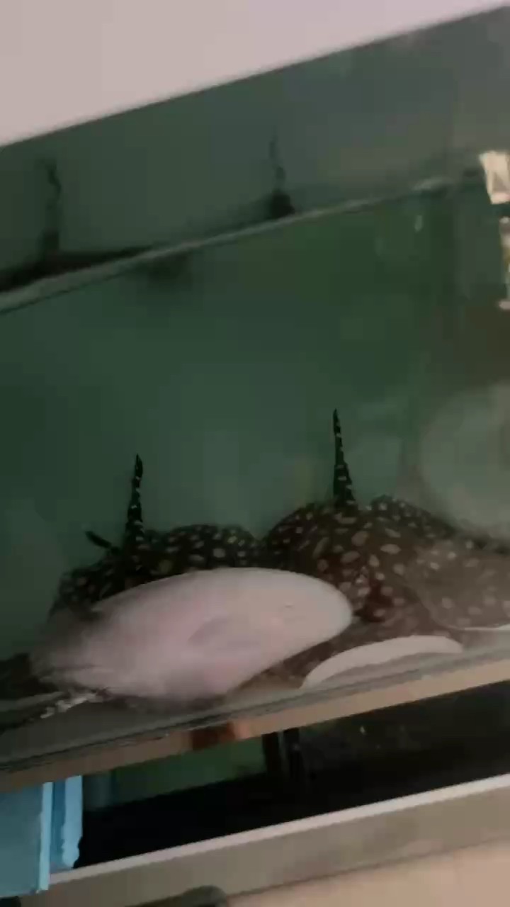 狀態不會騙人