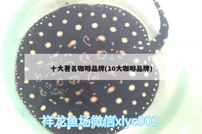 十大著名咖啡品牌(10大咖啡品牌) 十大著名咖啡品牌(10大咖啡品牌) 馬來西亞咖啡