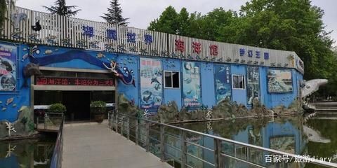 寶雞水族館vs祥龍魚場(寶雞水族館與祥龍魚場各有側重)