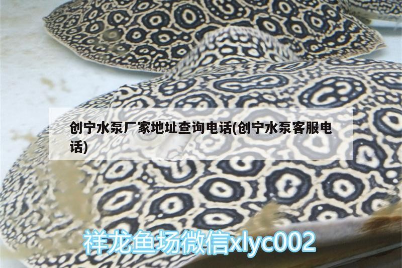 創寧水泵廠家地址查詢電話(創寧水泵客服電話)