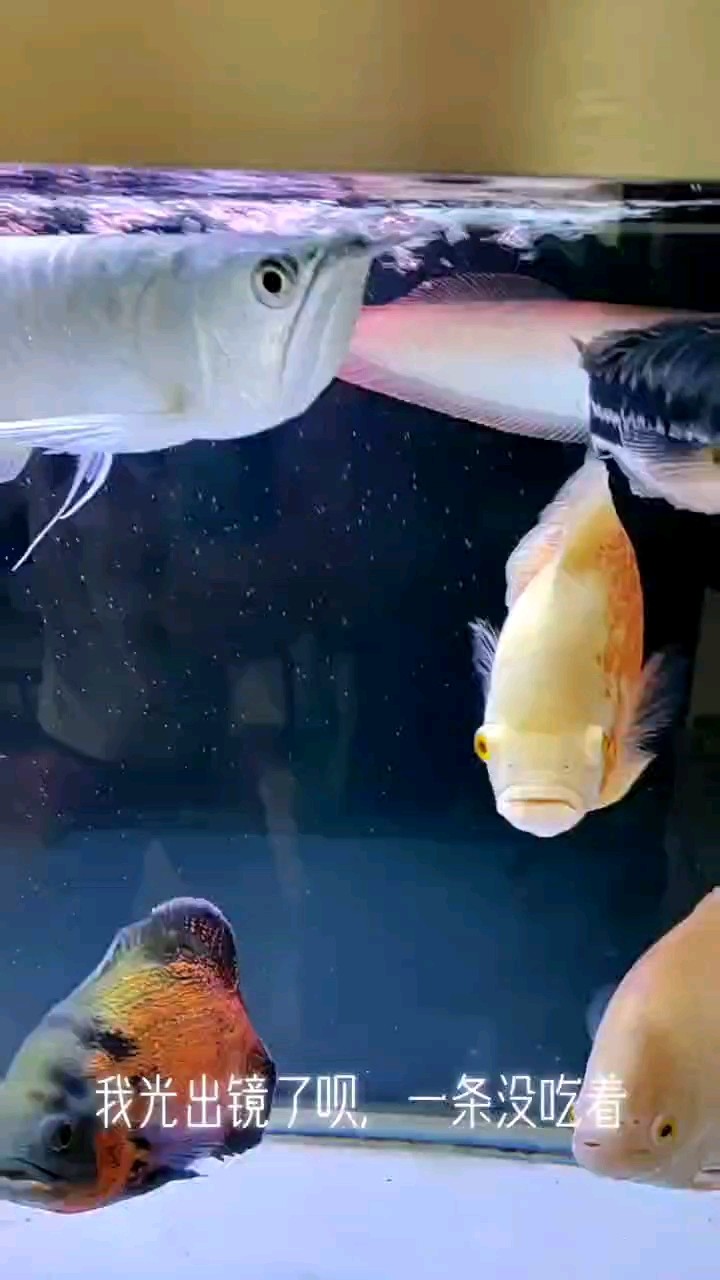 大鉛筆