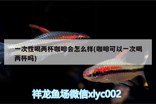 一次性喝兩杯咖啡會怎么樣(咖啡可以一次喝兩杯嗎)