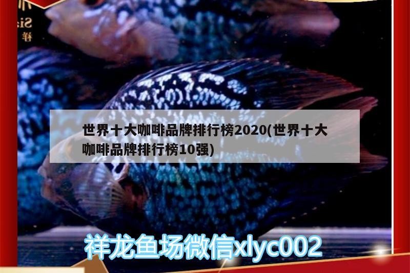 世界十大咖啡品牌排行榜2020(世界十大咖啡品牌排行榜10強)