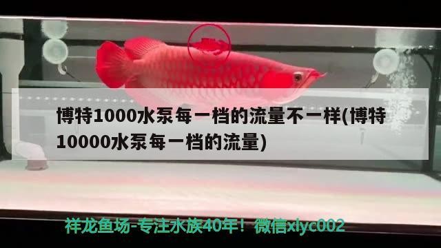 博特1000水泵每一檔的流量不一樣(博特10000水泵每一檔的流量)