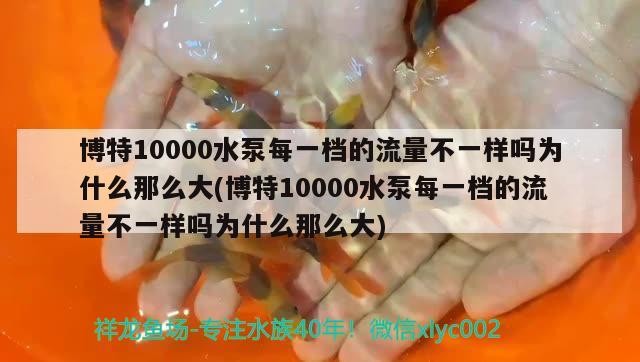 博特10000水泵每一檔的流量不一樣嗎為什么那么大(博特10000水泵每一檔的流量不一樣嗎為什么那么大)