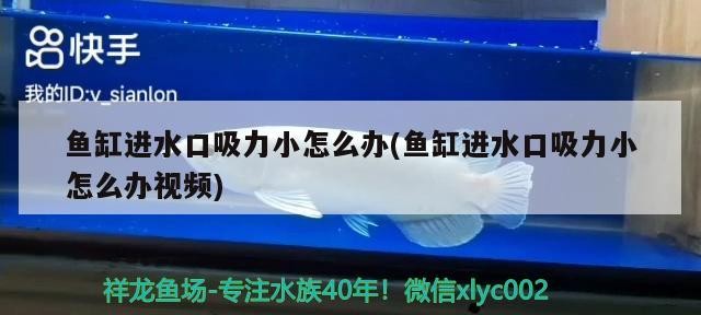 七里河區海森水族店（七里河區海森水族店電話）