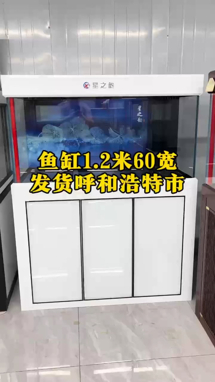 魚缸1.2米60寬輕奢款魚缸，超白魚缸、