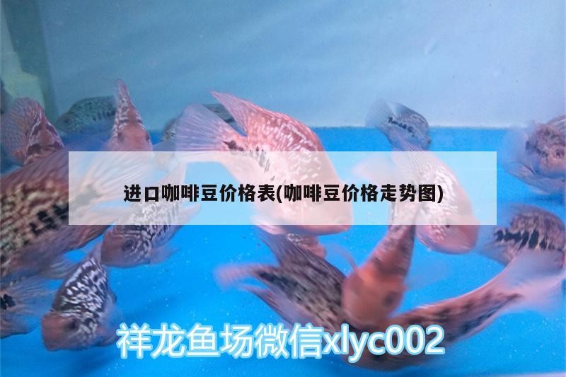 進(jìn)口咖啡豆價(jià)格表(咖啡豆價(jià)格走勢圖)