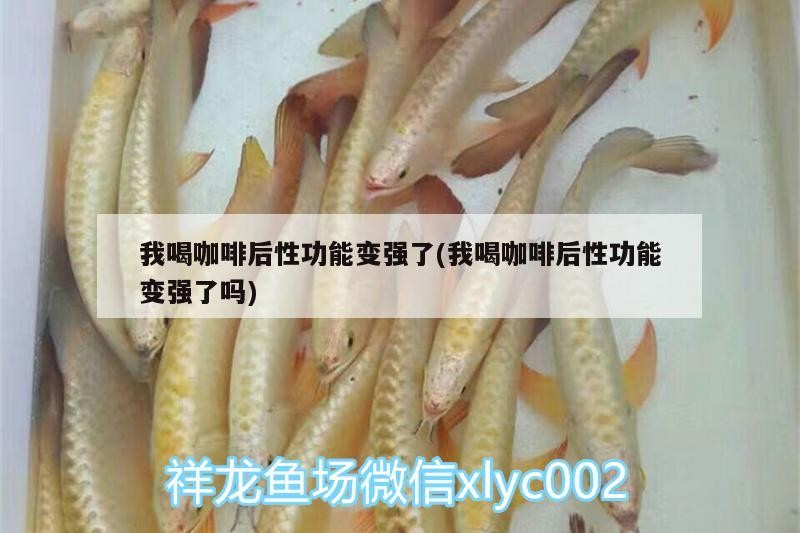 我喝咖啡后性功能變強了(我喝咖啡后性功能變強了嗎)