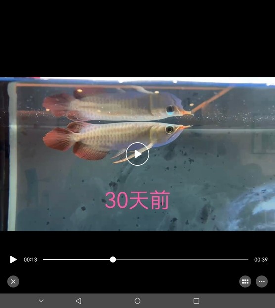 加了點科技大家看一下 有什么差別嗎