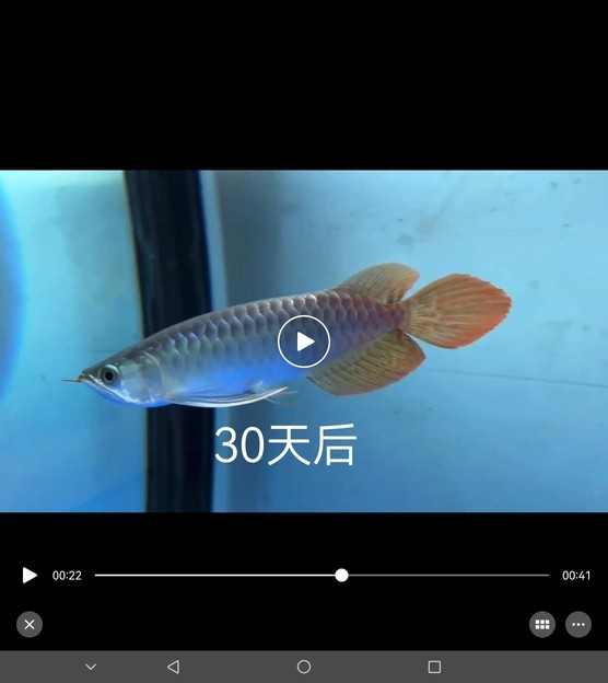 加了點科技大家看一下 有什么差別嗎