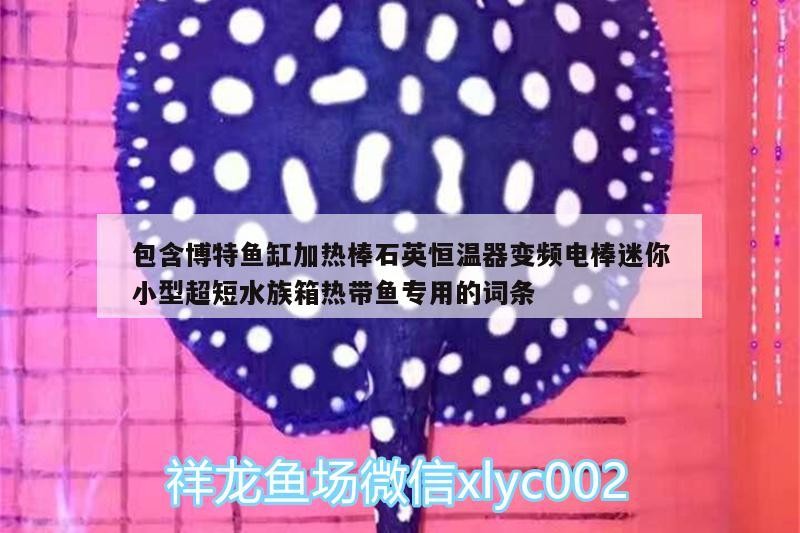 包含博特魚缸加熱棒石英恒溫器變頻電棒迷你小型超短水族箱熱帶魚專用的詞條 包含博特魚缸加熱棒石英恒溫器變頻電棒迷你小型超短水族箱熱帶魚專用的詞條 博特水族
