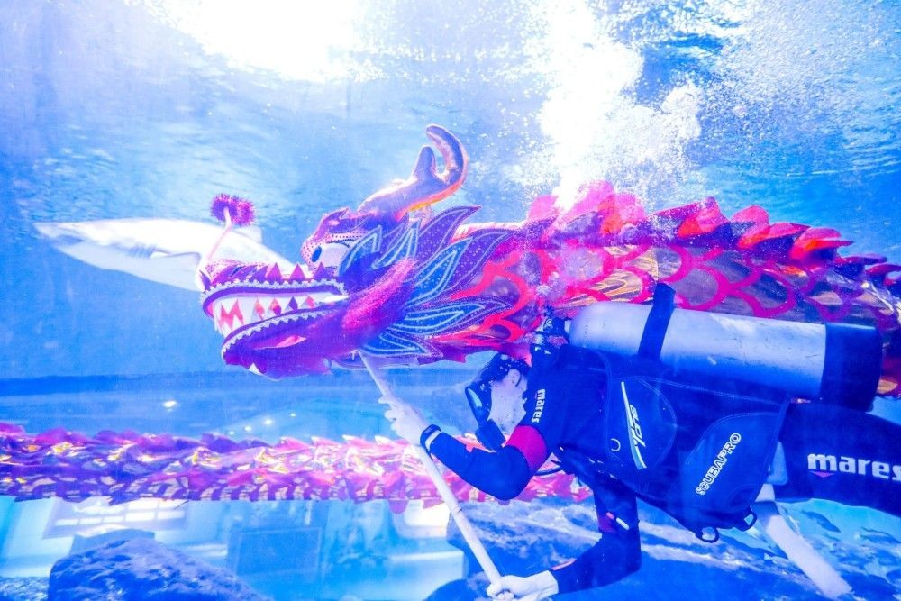 吳忠水族館vs祥龍魚(yú)場(chǎng)（吳忠水族館與祥龍魚(yú)場(chǎng)各有側(cè)重）