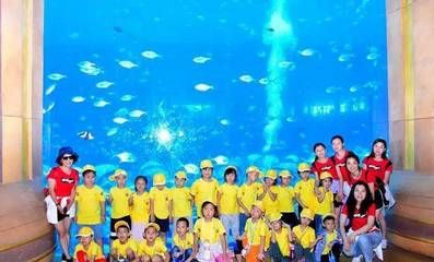 樂山水族館vs祥龍魚場（樂山水族館與祥龍魚場有什么區(qū)別？）