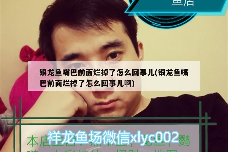 銀龍魚嘴巴前面爛掉了怎么回事兒(銀龍魚嘴巴前面爛掉了怎么回事兒啊) 銀龍魚嘴巴前面爛掉了怎么回事兒(銀龍魚嘴巴前面爛掉了怎么回事兒啊) 銀龍魚百科 第2張
