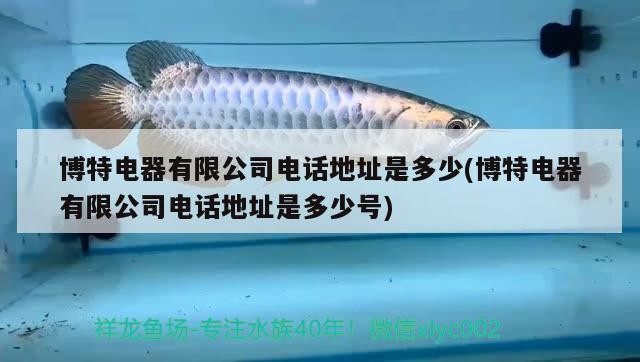 博特電器有限公司電話地址是多少(博特電器有限公司電話地址是多少號)