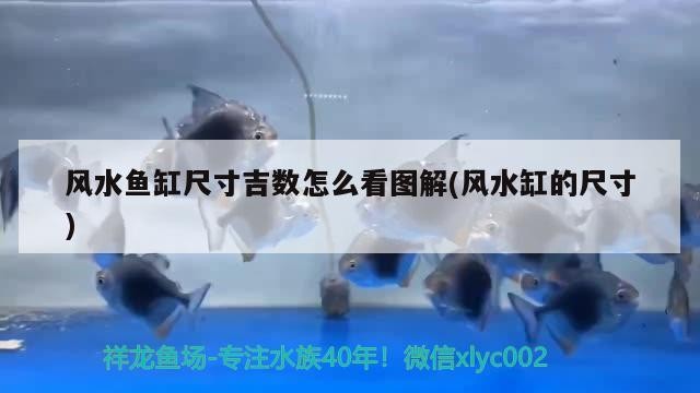 關(guān)于淮安魚(yú)缸定做店地址查詢電話的信息