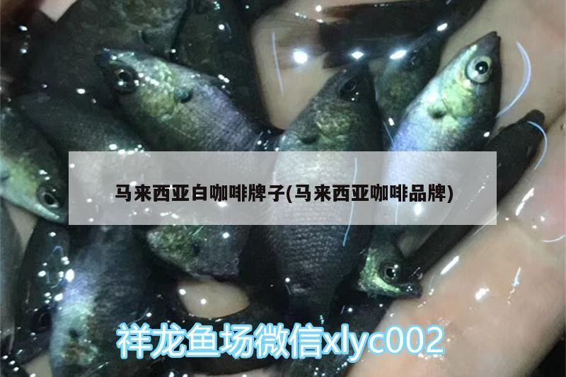 馬來西亞白咖啡牌子(馬來西亞咖啡品牌) 馬來西亞白咖啡牌子(馬來西亞咖啡品牌) 馬來西亞咖啡