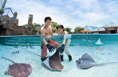 魟魚在水面上游什么意思啊視頻教學(xué)：“魟魚在水面上游什么意思啊視頻教學(xué)”視頻教學(xué)