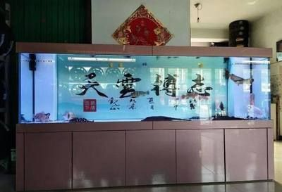 新缸多久可以養魟魚:新缸養魟魚的時間要求