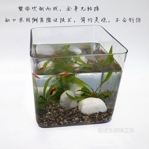 大型玻璃魚缸粘接方法：diy大型玻璃魚缸粘接方法